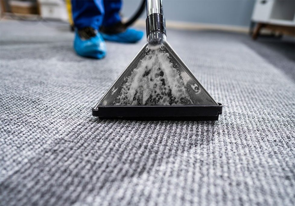 Best carpet cleaning