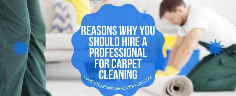 Hire a Professional for Carpet Cleaning